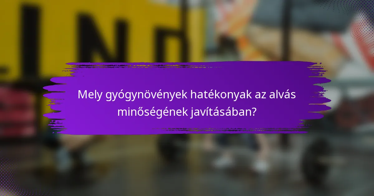 Mely gyógynövények hatékonyak az alvás minőségének javításában?